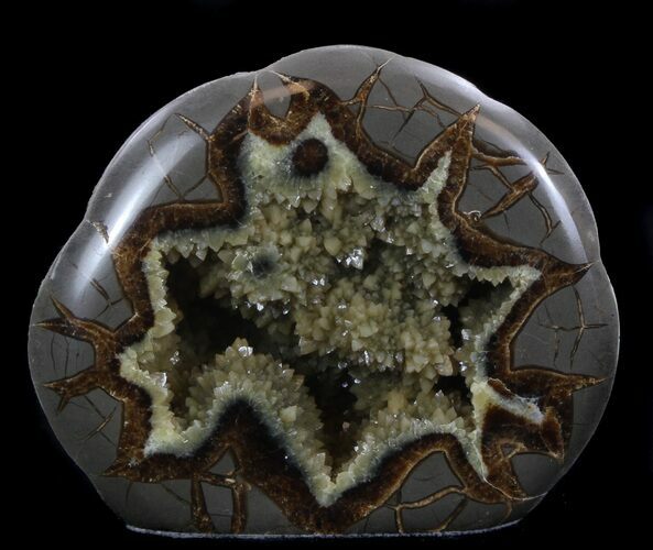 Calcite Crystal Filled Septarian Geode - Utah #37235